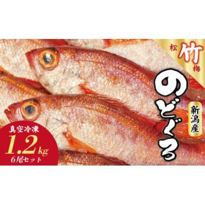 ふるさと納税 新発田市 【鮮度抜群】真空冷凍　日本海産ノドグロ 6尾セット(1尾 約200g以上)