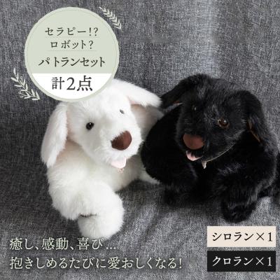 ふるさと納税 糸島市 シロラン&amp;クロラン(パトラン2点セット)犬ぬいぐるみ糸島市/科学工房未來[AYI004]