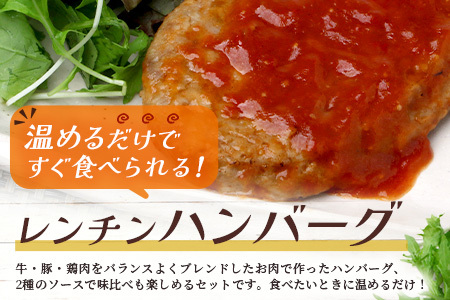 レンチン ハンバーグ ≪トマトソース・ホワイトソース≫ 合計10個 067-0706