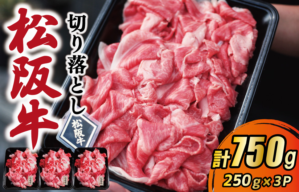 松阪牛 厳選 切り落とし 750g A5ランク A5等級 国産牛 A5 牛肉 使いやすい ブランド牛 小間切れ グルメ 冷凍 お取り寄せ 便利 MA6