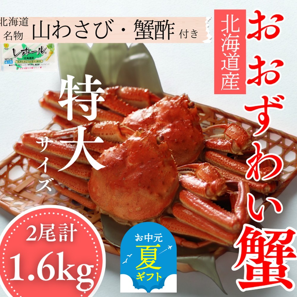 35-50 【お中元】【北海道産】オオズワイガニ姿　特大サイズ2尾計1.6kg ｜ 蟹酢・山わさび付　かに　おおずわいがに