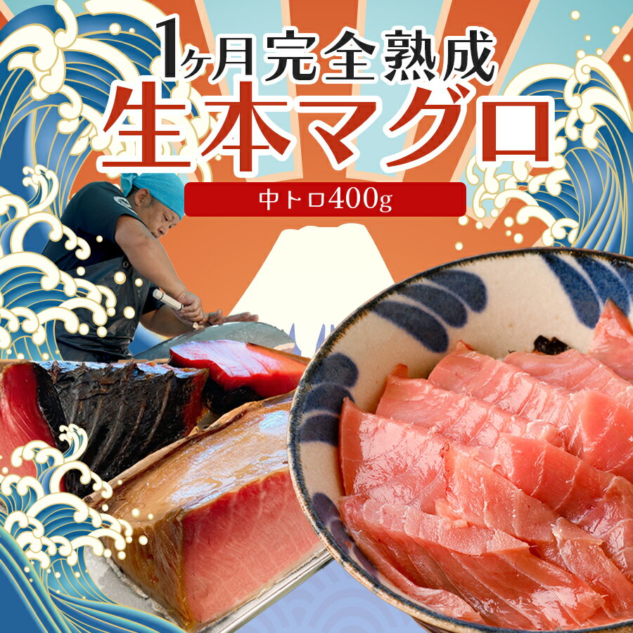 【ふるさと納税】熟成 生 本マグロ 中トロ 400g 冷蔵 刺身用 国産 高知県産 養殖 高級 海鮮 お正月用｜熟成本まぐろ 鮪 まぐろ ギフト お取り寄せ 希少 贈答 グルメ おせち お歳暮 年末年始 ごちそう お正月グルメ お正月のごちそう 1ヵ月熟成 大月町