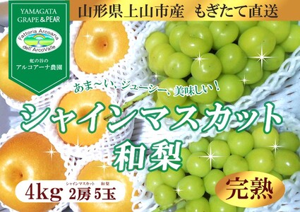 【直送便】完熟シャインマスカットと和梨セット（大）　0148-2510