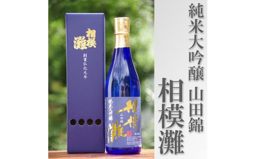 日本酒 相模灘 純米大吟醸　720ml ◆