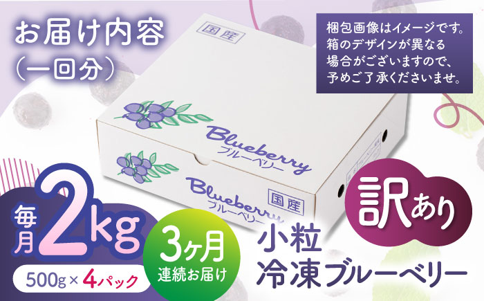 【3回定期便】【訳あり】 冷凍ブルーベリー 小粒 約2kg（約500g×4pc） 【すみれファーム】 [ZEP050]