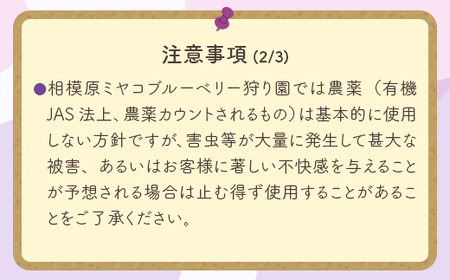 【時間無制限 食べ放題コース】ブルーベリー狩り体験 ファミリープラン | ブルーベリー 摘み取り 体験 ブルーベリー狩り フルーツ狩り 食べ放題 時間 無制限