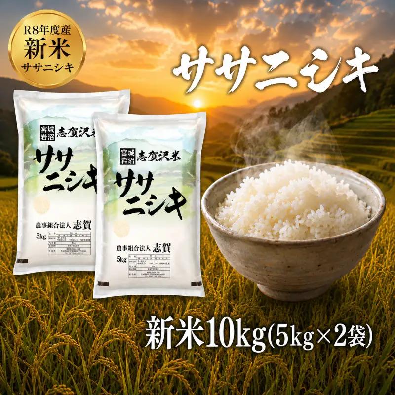 新米 令和8年産 ササニシキ 10kg  精米