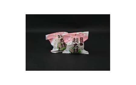 【地元銘菓】輪太鼓（わでこ） 10個入 （輪太鼓 わでこ 老舗 ブッセ お餅 餅 餡子 銘菓 お菓子 宮崎 小林市）