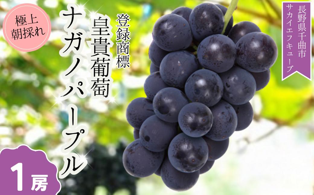 
                  【2026年先行予約】ぶどう ナガノパープル 特秀品 加湿ハウス栽培 1房 ｜ 葡萄 黒ぶどう フルーツ 果物 千曲市 長野県産 信州
                