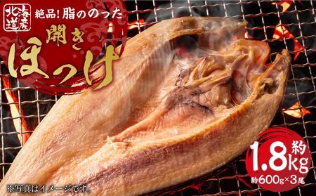 絶品脂ののった 北海道産 開きほっけ 約1.8kg (約600g×3尾セット)_01701