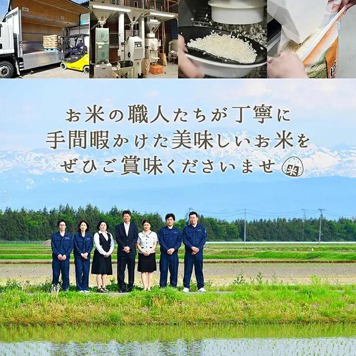≪新米予約≫ 令和8年11月中旬お届け 無洗米 はえぬき 5kg 山形県産 令和8年産米 ご希望の時期頃お届け 東北 山形県 遊佐町 庄内地方 精米 白米 小分け 少人数 阿部ベイコク[1576R08