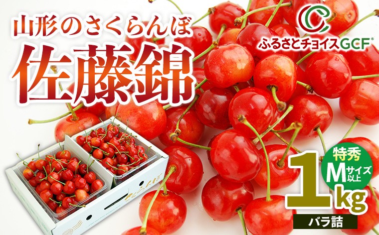 
                  【GCF】山形のさくらんぼ 佐藤錦 1kg 特秀 Mサイズ以上 バラ詰【令和9年産先行予約】 FS26-028
                