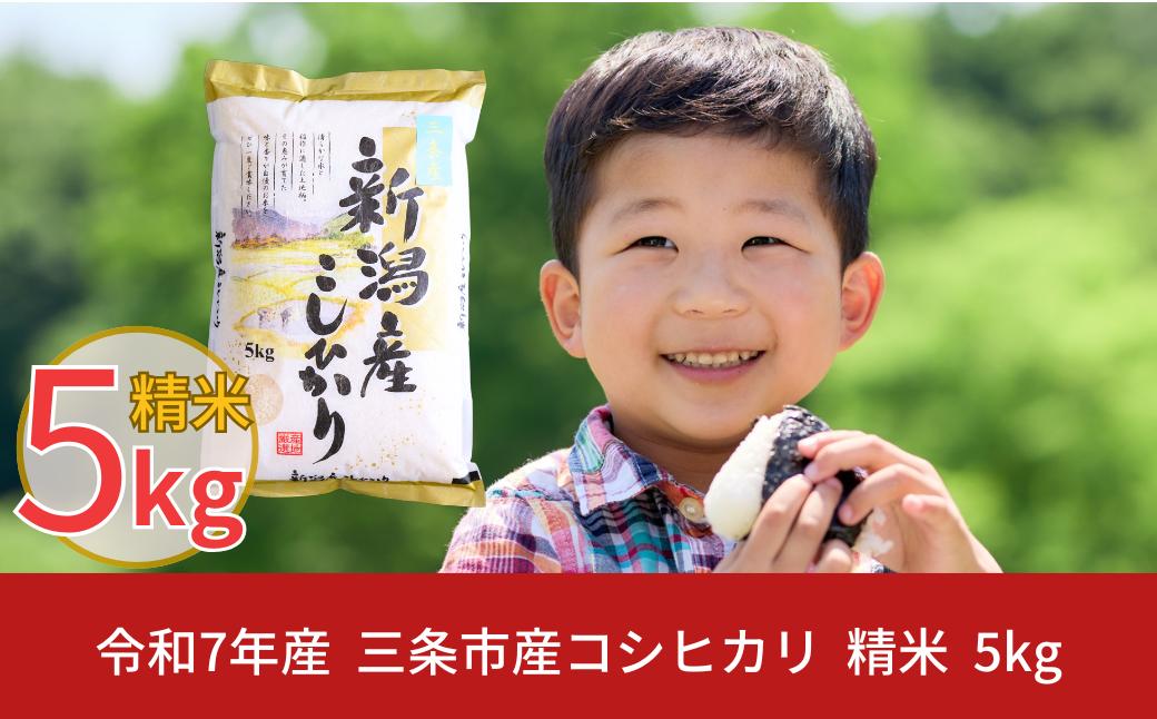
            新潟県三条市産 コシヒカリ 5kg こしひかり 令和7年産 米 [株式会社白熊] 【010S099】
          