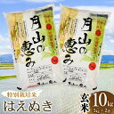 【ふるさと納税】 【令和6年産】 特別栽培米 はえぬき 玄米 10kg（5kg×2袋 計10kg） 2024年 | 山形県 鶴岡市 ブランド米 お取り寄せ お米 おこめ 特栽 コメ10キロ こめ 美味しい 鶴岡産 単一原料米