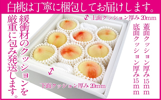 桃 2024年 先行予約 岡山の白桃 200g以上×8玉 白桃 旬 みずみずしい 晴れの国 おかやま 岡山県産 フルーツ王国 果物王国