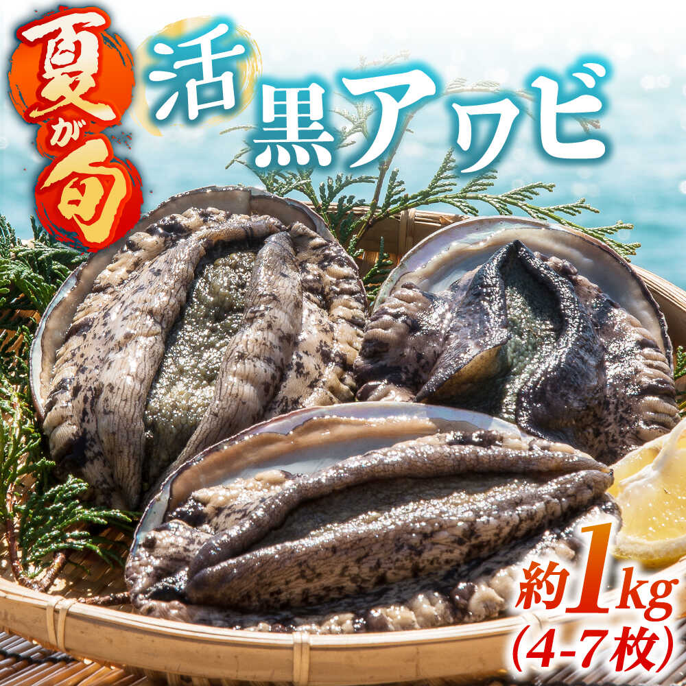 【ふるさと納税】活黒アワビ 旬 約1kg（4-7枚）《壱岐市》【丸和水産】[JCJ026]