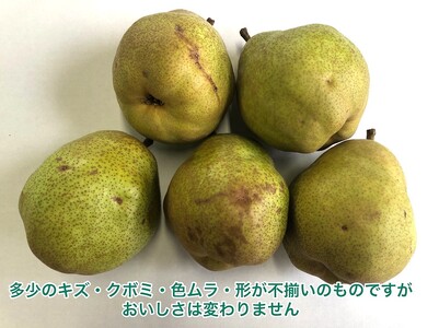 西洋梨（ラ・フランス）３ｋｇ　ご家庭用　0102-2403