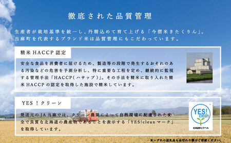 【令和7年産】≪定期便3ヶ月≫ 無洗米 11kg×3回 計33kg ブランド米 籾貯蔵今摺米 きたくりん 北海道米 北海道 10kg以上 米【A-007】
