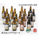 【ふるさと納税】DB63：AX2＜大山Gビール＞飲み比べセットB（大山ブランド会）ピルスナー・ヴァイツェン・ペールエール・スタウト 各330ml×5