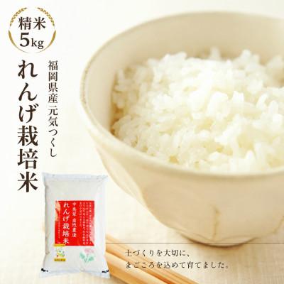 ふるさと納税 大木町 【先行予約】令和8年産 れんげ農法栽培米 元気つくし 精米5kg　BI17