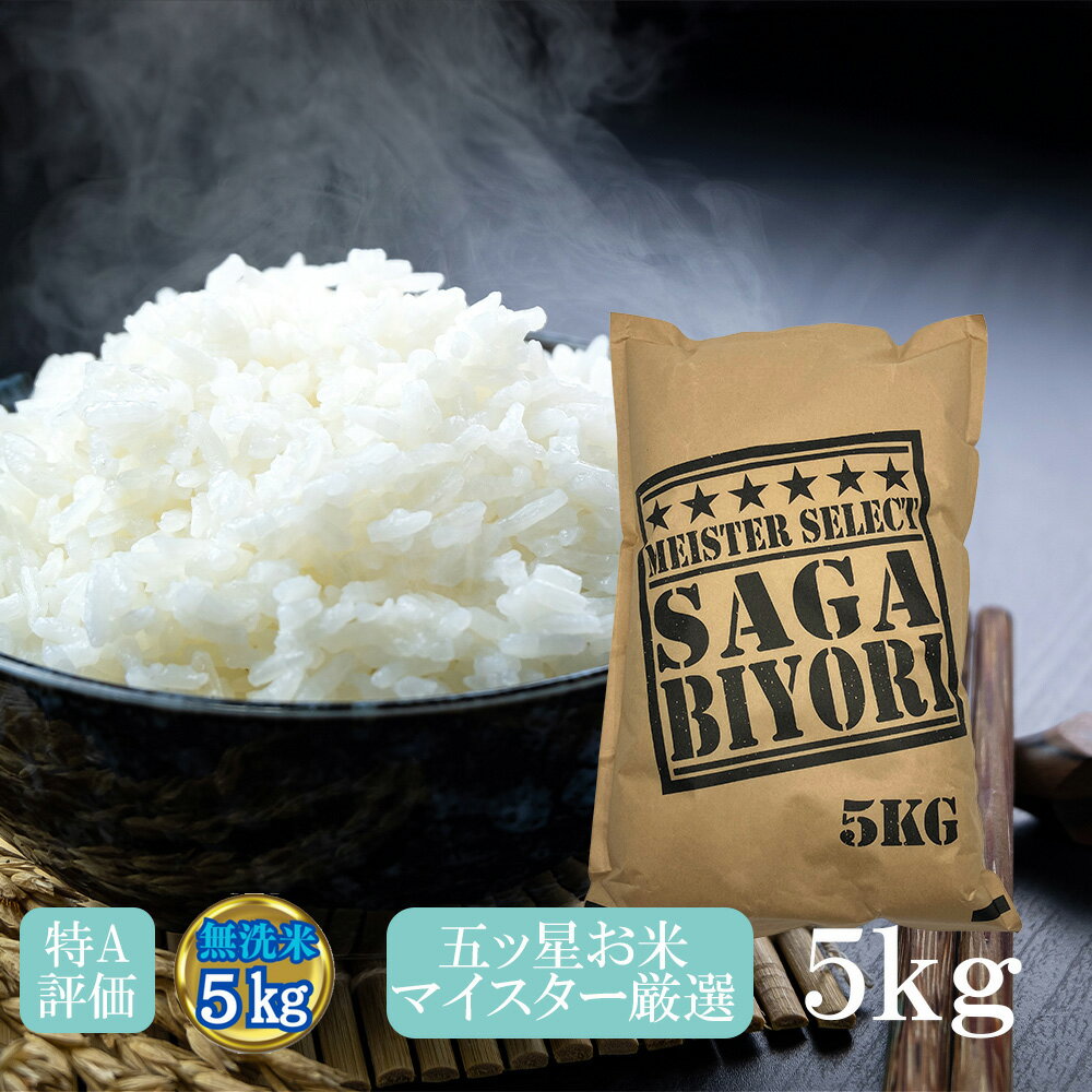 【ふるさと納税】無洗米さがびより5kg（CIB60）