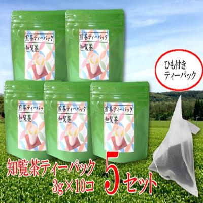 ふるさと納税 南九州市 【片野坂製茶】　知覧茶煎茶ティーパック