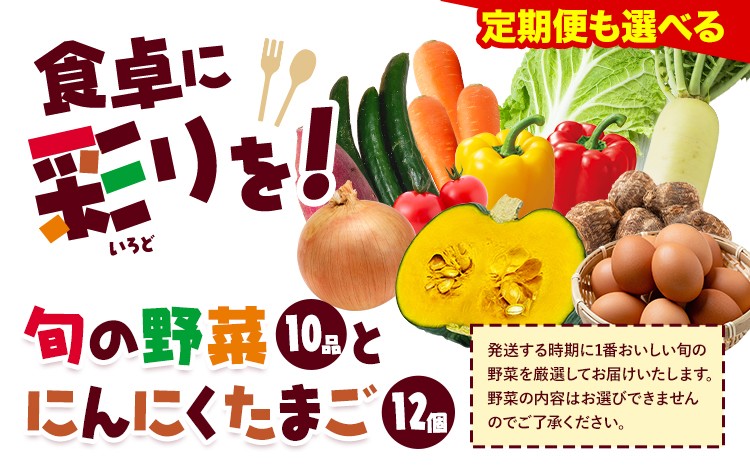 
                  旬の野菜とたまごのセットメロンドーム 野菜 卵 にんにくたまご 卵 詰め合わせ 定期便あり 5か月 有限会社七城町特産品センター《30日以内に出荷予定(土日祝除く)》熊本県 菊池市 セット 新鮮 国産 九州産 熊本県 菊池市 道の駅 旬 送料無料
                