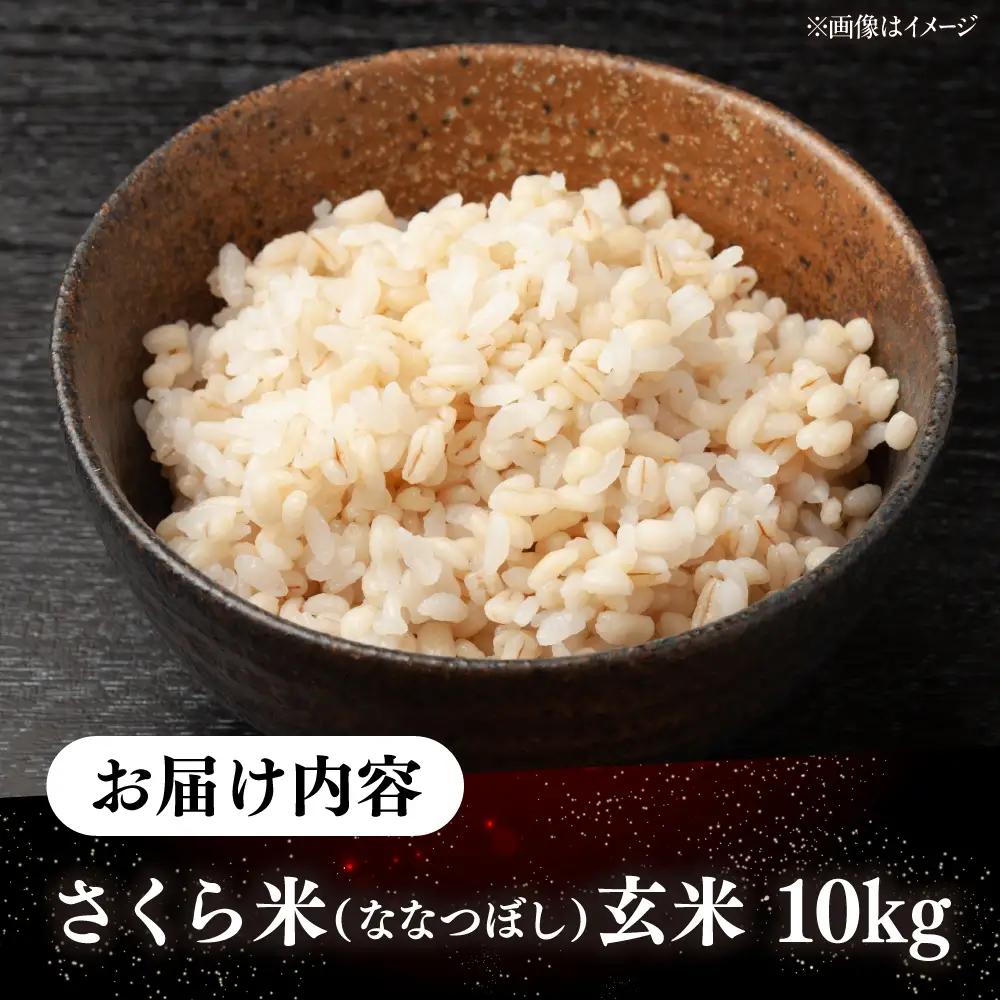 【令和7年産】 玄米 ななつぼし さくら米 10kg 玄米 [AXAB035]