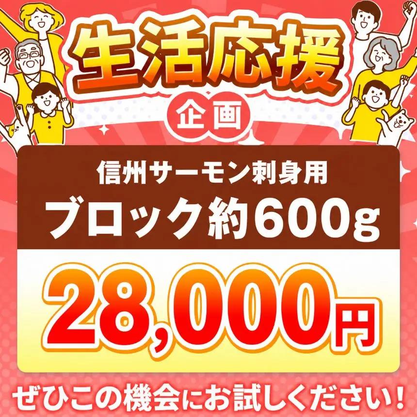 絶品！信州サーモン ブロック 約600g～640g| 長野県 天龍村 