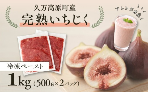 冷凍 完熟いちじくペースト 1kg(500ｇｘ2P) ｜ 愛媛県 久万高原町 完熟 冷凍 いちじく イチジク 無花果 果物 フルーツ 株式会社FFT
