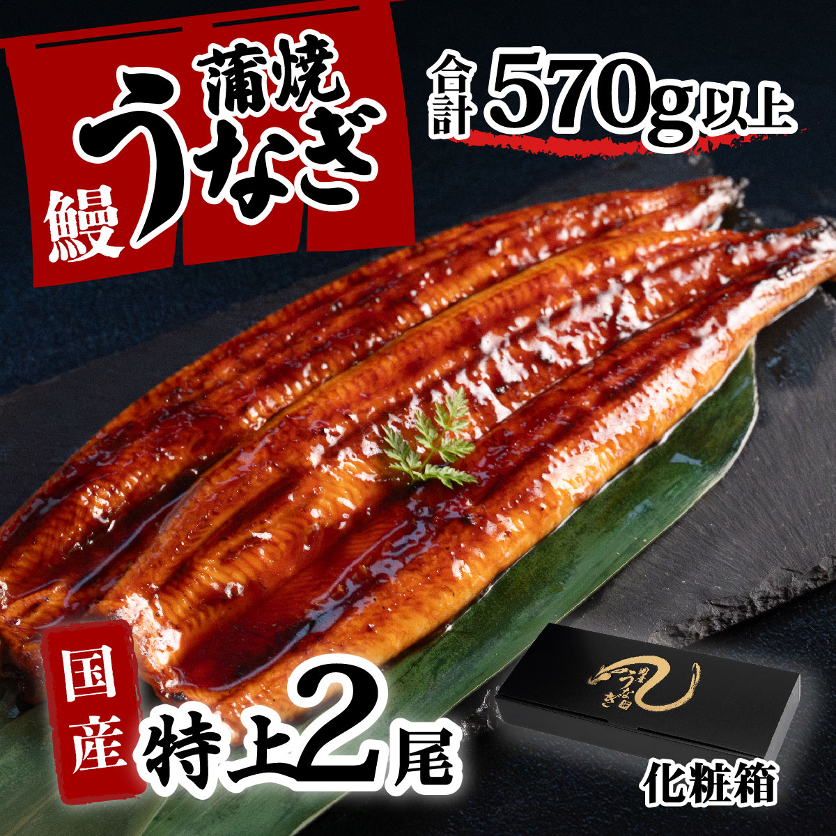 【化粧箱】特上 国産うなぎ 蒲焼 2尾セット 【合計570g以上】 タレ・山椒付 ウナギ 鰻 うな重 ひつまぶし 人気 茨城 八千代町 ふるさと納税 冷凍 ギフト 化粧箱