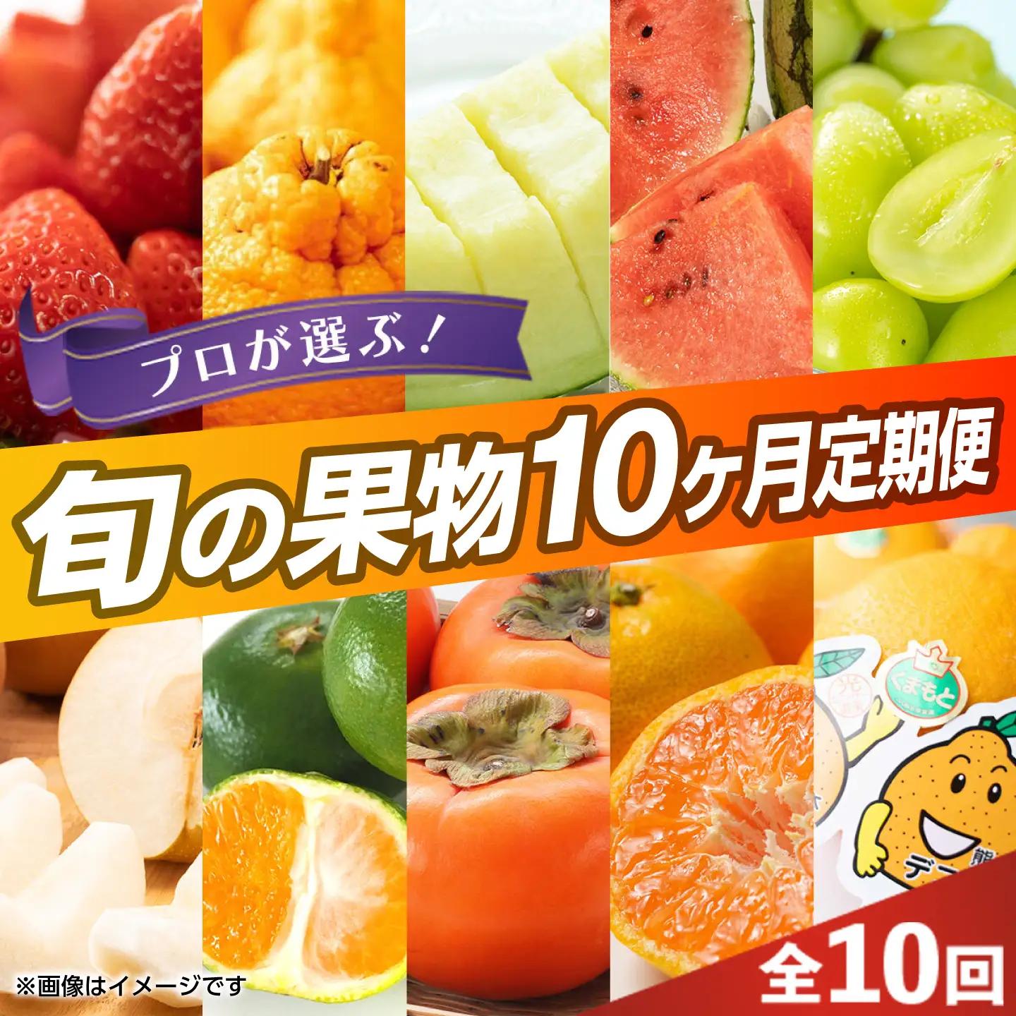 【先行予約】【全10回定期便】 プロが選ぶ！ 旬 の 果物 10ヶ月 定期便【くまふる】[ZBG086]