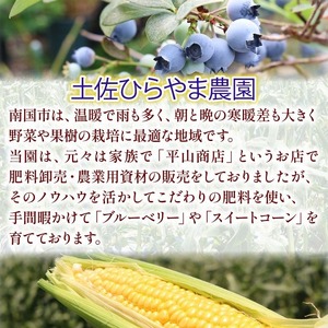 【先行予約】完熟生ブルーベリー ラビットアイ系 1200g (2027年発送) | フルーツ 果物 ベリー