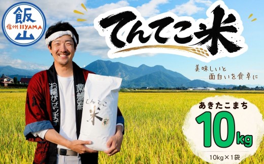 【新米】てんてこ米 あきたこまち 精米 10kg（10kg×1袋）今清水農園 ｜てんてこまい 長野県 飯山市 信州 アキタコマチ 常盤 コメ ごはん おいしい オススメ 令和8年（Cy-001）
