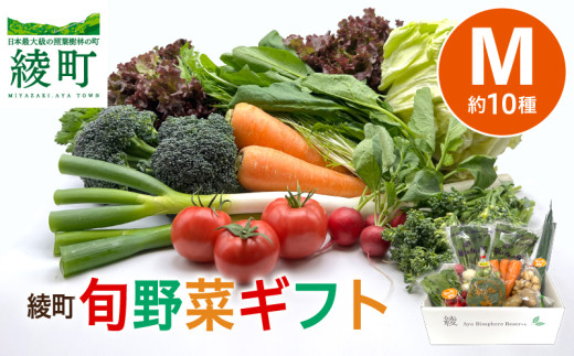 綾町旬野菜ギフト〈 Mサイズ/約10種 〉2～3人分 産地直送 野菜セット 詰め合わせ 新鮮 有機栽培 旬 採れたて 野菜 新鮮野菜 人参 トマト じゃがいも 玉ねぎ きゅうり さつまいも 芋 ねぎ 小松菜 大根 ほうれん草 キャベツ キノコ等 送料無料 【オーガニックのまち 宮崎県綾町】