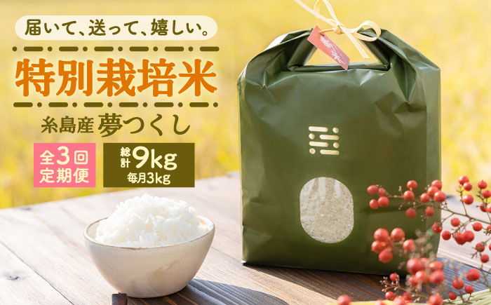 【全3回定期便】とくべつの中のとくべつ 特別栽培米 3kg 夢つくし 吉富町/(株)やました [BGBX002] 白米 精米 米