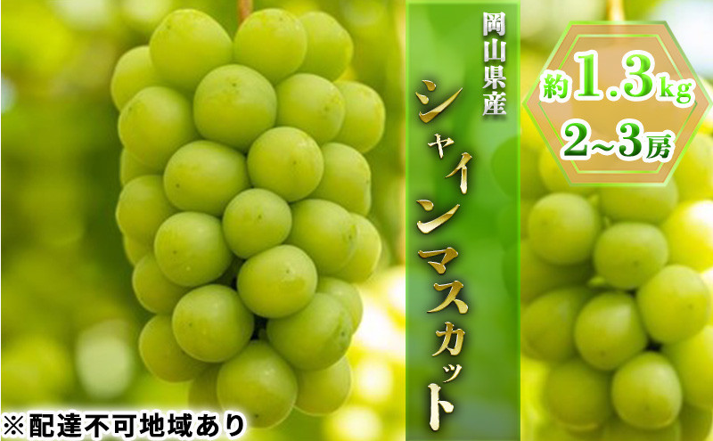 
                  ぶどう 2027年 先行予約 シャインマスカット 約1.3kg 2～3房 ブドウ 葡萄 岡山県産 国産 フルーツ 果物 ギフト
                