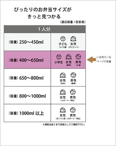 弁当箱 600ml 2段 STLB3DXAG 550317ステンレス弁当箱 10-087