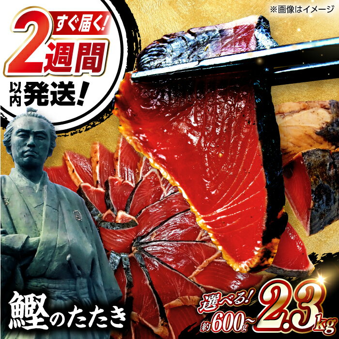 【ふるさと納税】【最速発送】鰹たたき 約600g〜2.3kg ポン酢付き＼選べる容量／ 本格 瞬間冷凍 スピード配送 厳選 カツオ かつおのたたき カツオたたき 【株式会社　七和】[ATAX016]