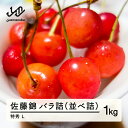 【ふるさと納税】 《先行予約》 山形県産 さくらんぼ 佐藤錦 バラ詰（並べ詰）1kg 特秀 L 2025年産 2025年6月10日頃から順次発送 送料無料 F20A-020