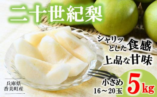 
【梨 20世紀梨 香住梨 5kg 小さめ（1玉250g～300gを16～20玉）】9/9が最終受付です 大人気 二十世紀梨 果肉はしっかり シャキシャキの食感 ほどよい甘さとみずみずしさ 日本海に面する梨の本場 兵庫県香美町で育つ「香住梨」 一つひとつの糖度を計測して出荷 味と品質へのこだわり 20世紀 フルーツ ナシ 贈答 青梨 和梨 ふるさと納税 JAたじま 16000円 12-09
