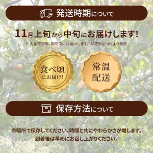 高松紋平柿１箱【令和６年１１月発送分】／１４～１６個入り