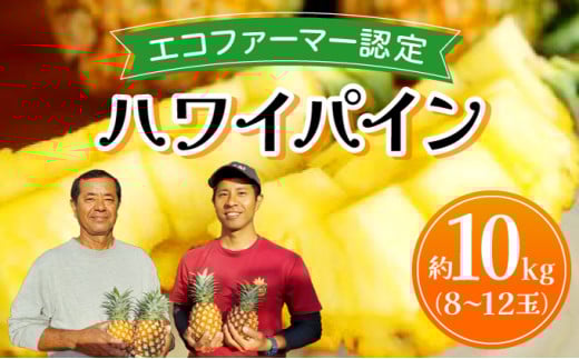 《2025年先行予約》ハワイパイン約10kg 【お届け：2025年6月中旬～7月下旬】【農園ファイミール 完熟 果物 フルーツ パイン パイナップル】