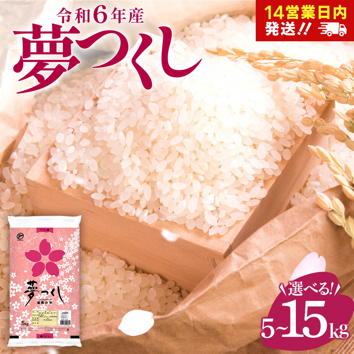 【ふるさと納税】【令和6年産】数量限定 《14営業日以内に発送》5kgあたり1.17万円!! 福岡県産米 夢つくし 選べる5kg～15kg |【精米 6年産 国産 お米 ブランド米 5kg 10kg 15kg 選べる容量】