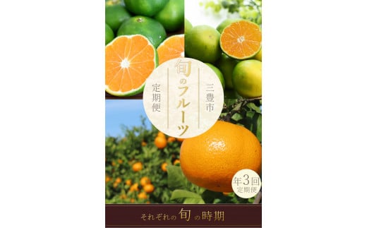 M160-0027_フルーツ定期便 3回 三豊市 極早生みかん2.5kg 早生みかん 2.5kg 晩生みかん2.5kg