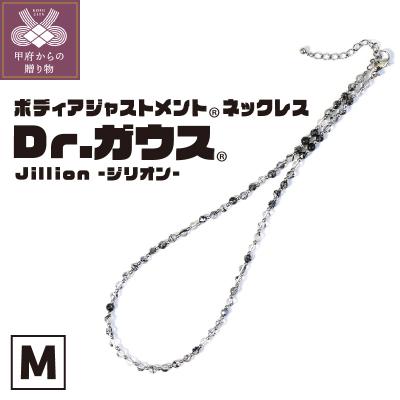 ふるさと納税 甲府市 Dr.ガウス 　Jillion -ジリオン-　Mサイズ