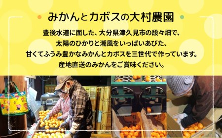 【先行予約】大村農園の温州みかん 青島温州 5kg | 津久見市