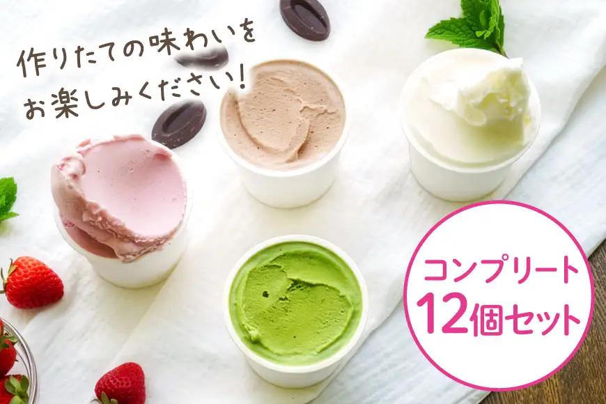 アイス ナチューラのアイスクリーム コンプリート 12個入り [ナチューラ 徳島県 北島町 29am0010]