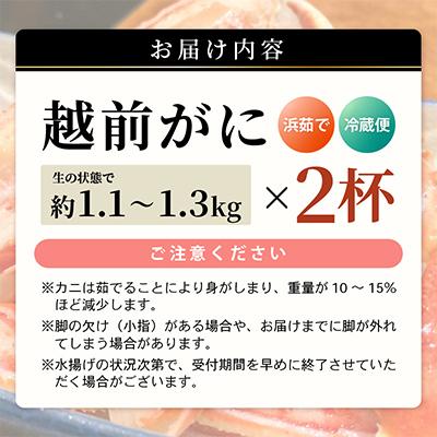 ふるさと納税 美浜町 【2025年3月より順次お届け】越前がに(大大サイズ)約1.1〜1.3kg×2杯 |  | 03