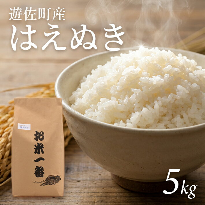 【ふるさと納税】はえぬき 5kg 令和7年産米 山形県遊佐町産 ご希望時期頃お届け 東北 山形県 遊佐町 庄内地方 米 お米 精米 白米 庄内米 ブランド米 ご飯 ごはん 発送時期が選べる